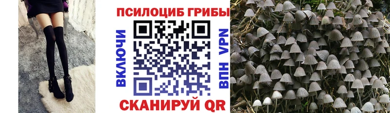Галлюциногенные грибы MAGIC MUSHROOMS  Тында 