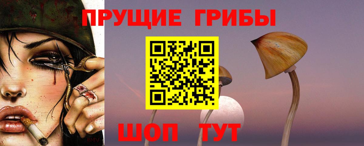 Псилоцибиновые грибы мухоморы  Вход с VPN  Тында 